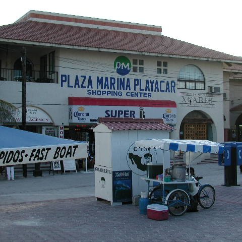 P8313215 P8313215