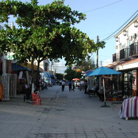 P8313218 P8313218