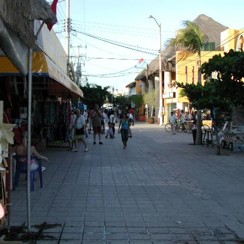 P8313220 P8313220