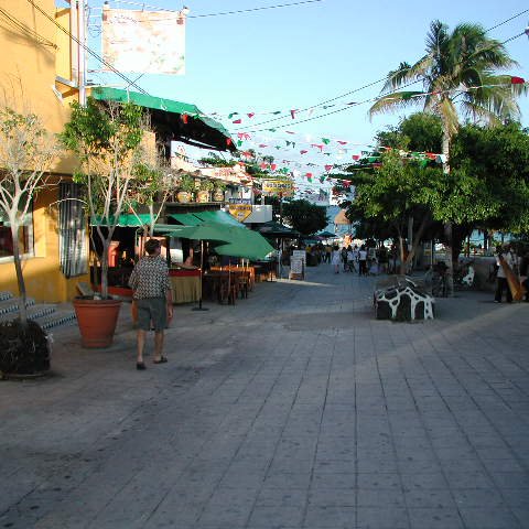 P8313222 P8313222