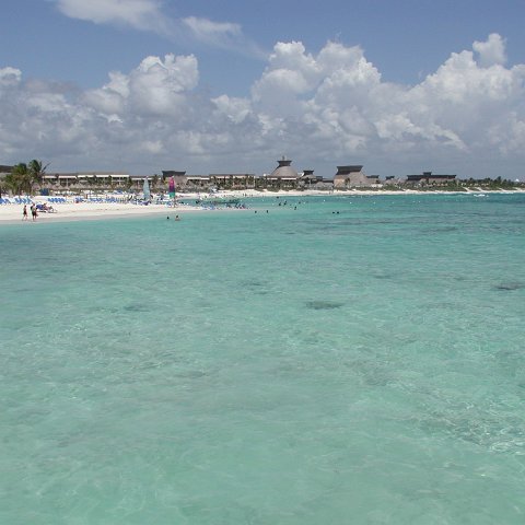 P9013229 P9013229
