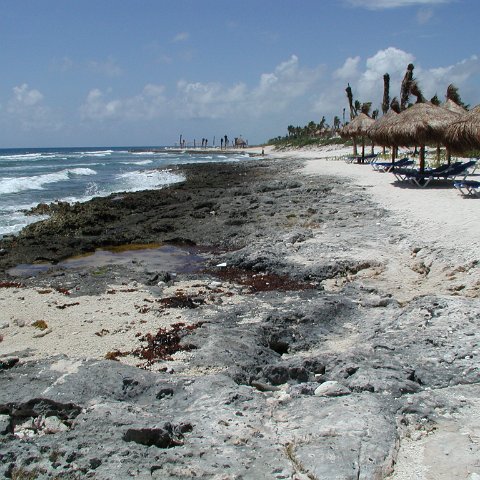 P9013232 P9013232