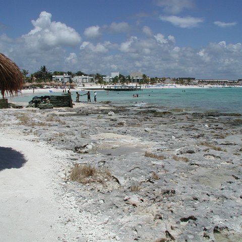 P9013233 P9013233
