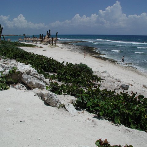 P9013235 P9013235