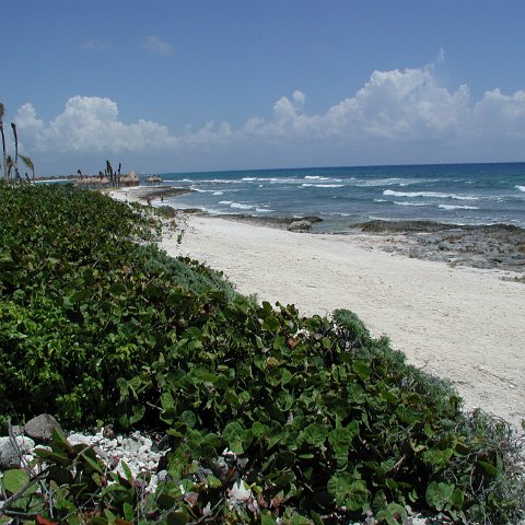 P9013236 P9013236