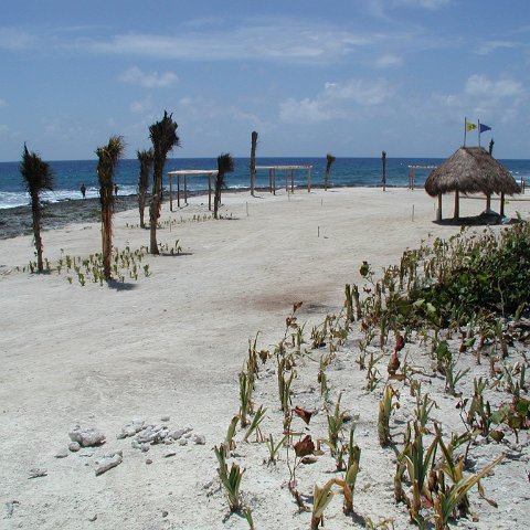 P9013237 P9013237