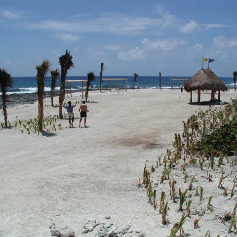 P9013239 P9013239