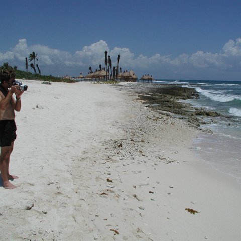 P9013242 P9013242