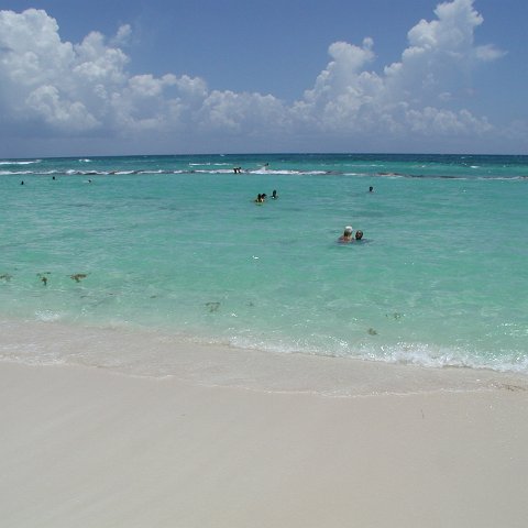 P9013249 P9013249
