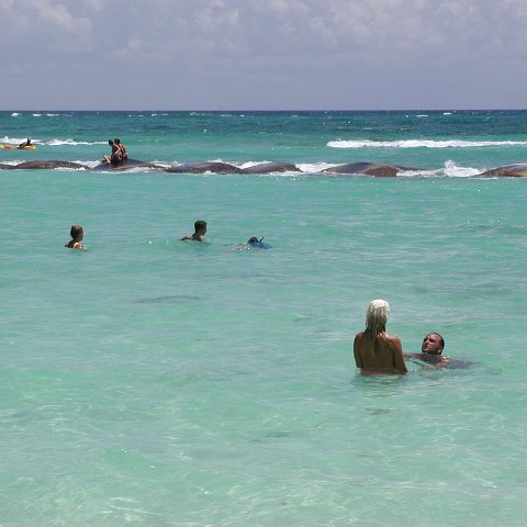 P9013252 P9013252