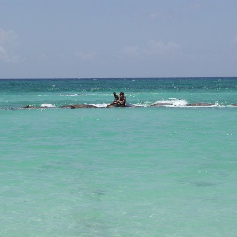 P9013253 P9013253