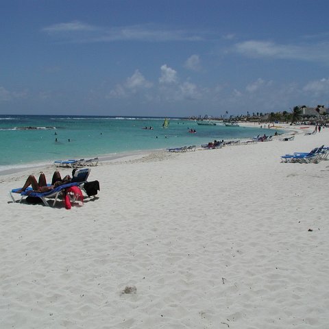 P9013254 P9013254
