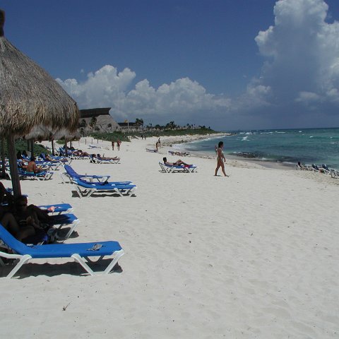 P9013255 P9013255