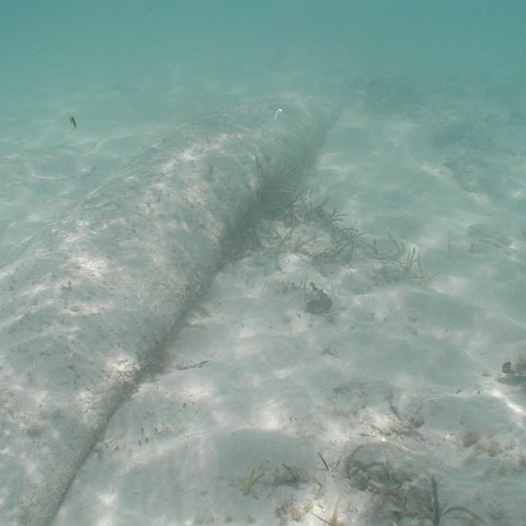 P9033372 P9033372