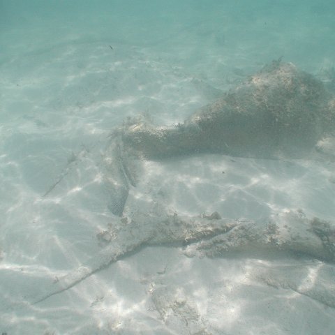 P9033373 P9033373