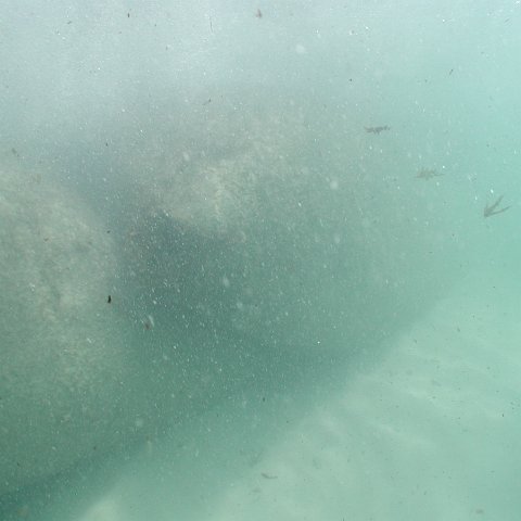 P9033375 P9033375