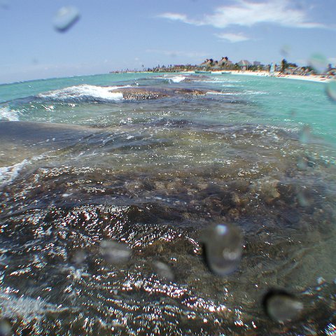 P9033378 P9033378