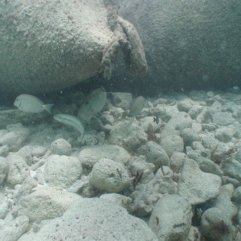 P9033379 P9033379