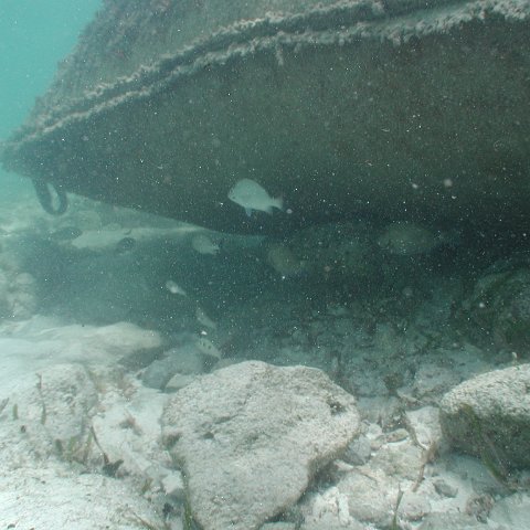 P9033381 P9033381