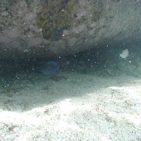 P9033383 P9033383