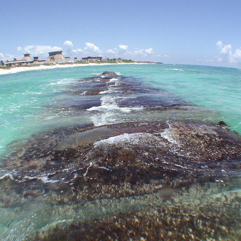P9033385 P9033385