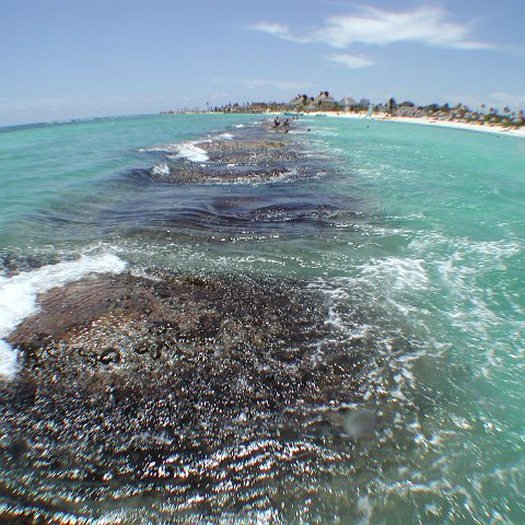 P9033386 P9033386