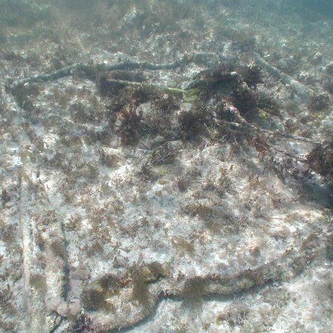 P9033387 P9033387