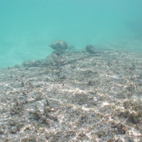 P9033392 P9033392