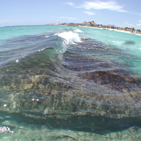 P9033393 P9033393