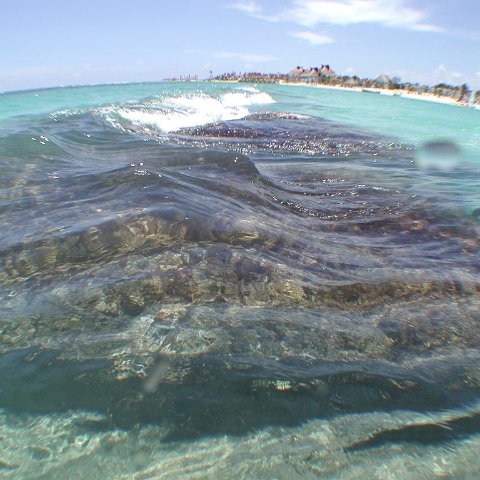 P9033394 P9033394
