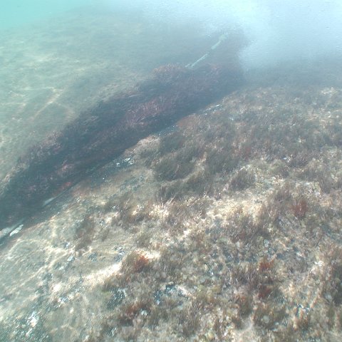 P9033395 P9033395