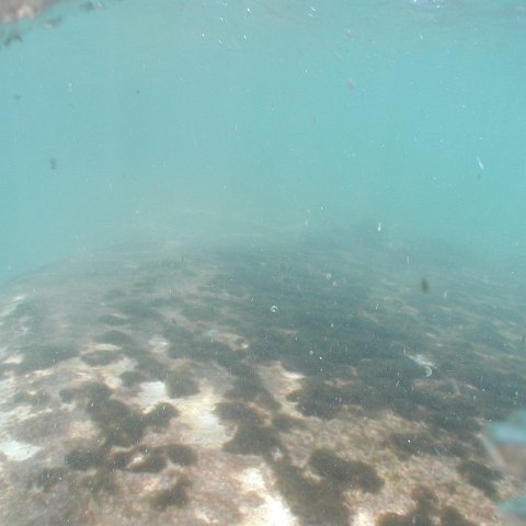 P9033396 P9033396