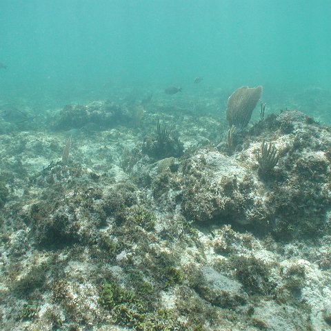 P9033400 P9033400