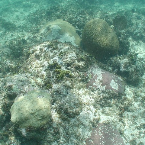 P9033402 P9033402