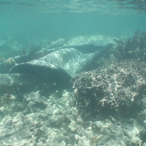 P9033411 P9033411