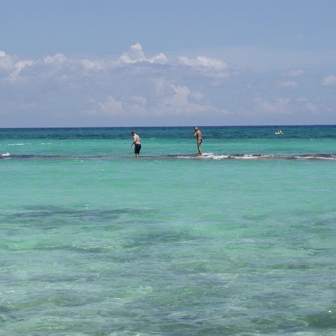 P9033420 P9033420