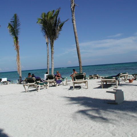 P9033440 P9033440