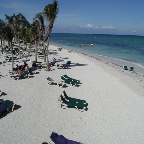 P9033443 P9033443