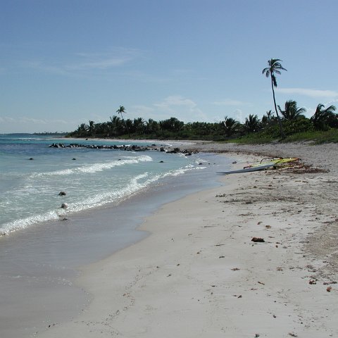 P9033448 P9033448