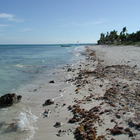 P9033450 P9033450