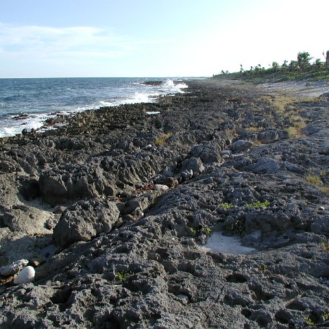 P9033452 P9033452