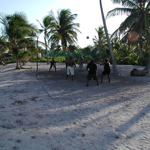 P9033453 P9033453
