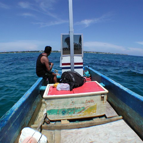 P9043454 P9043454