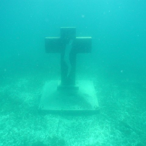P9043455 P9043455