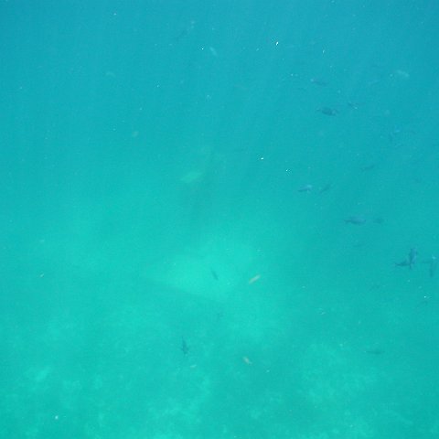 P9043457 P9043457