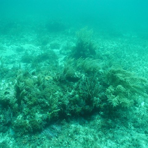 P9043459 P9043459