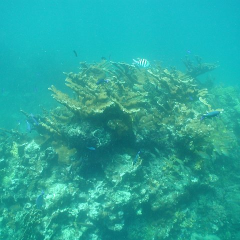 P9043461 P9043461