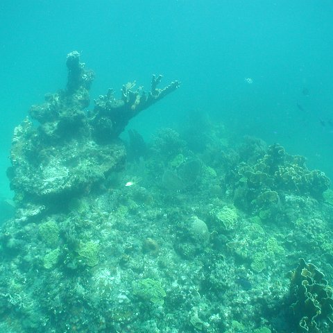P9043462 P9043462