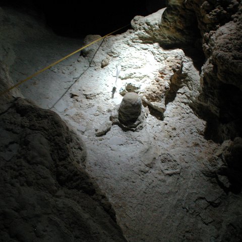 P9023289 P9023289