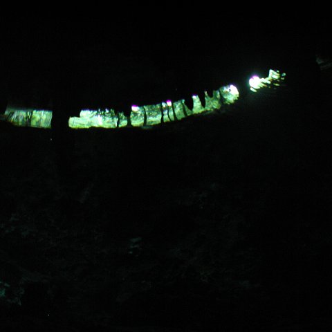 P9023299 P9023299